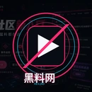 黑料网品牌标识